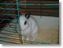 fotky 08_040.jpg